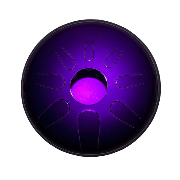 Idiopan Domina 12