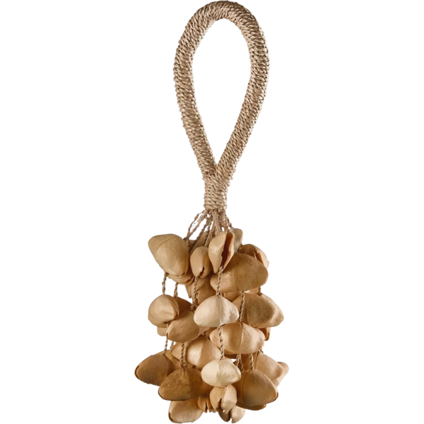 Strumento Percussione Terre Shaker Terré Seed Shaker XXL Cha Cha Nut - Strumento Percussione Per Musica Shaker Semi Terre Cha Cha Nut