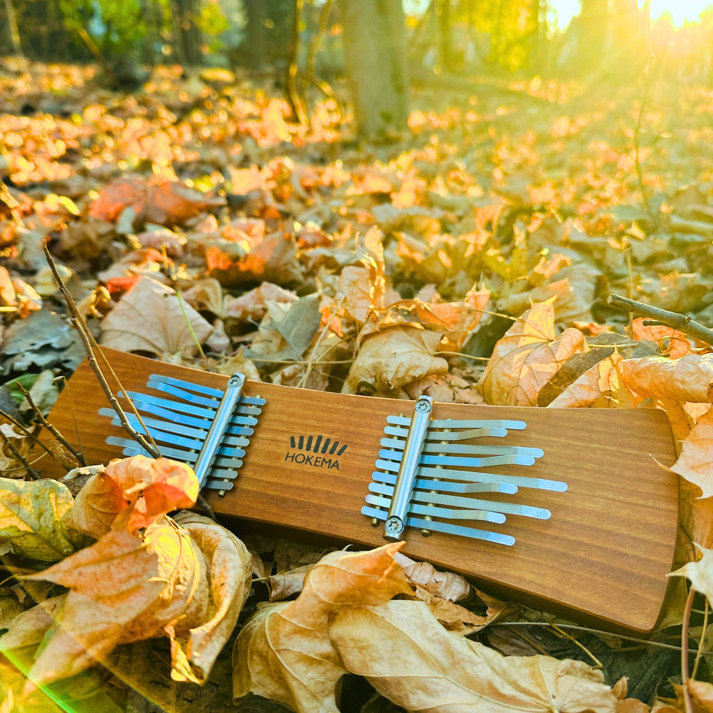Hokema - Twin Kalimba