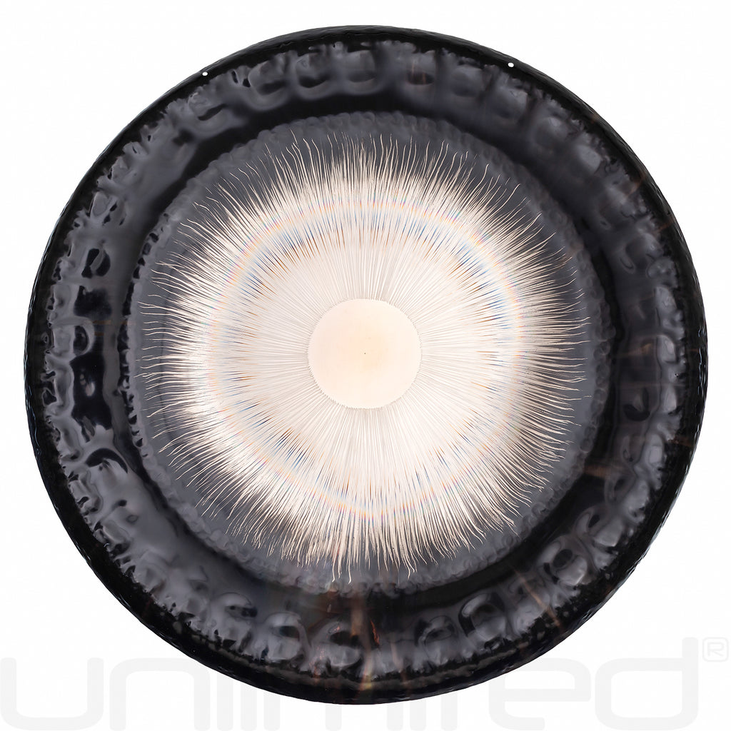 Auris 32" Soltena Gongs