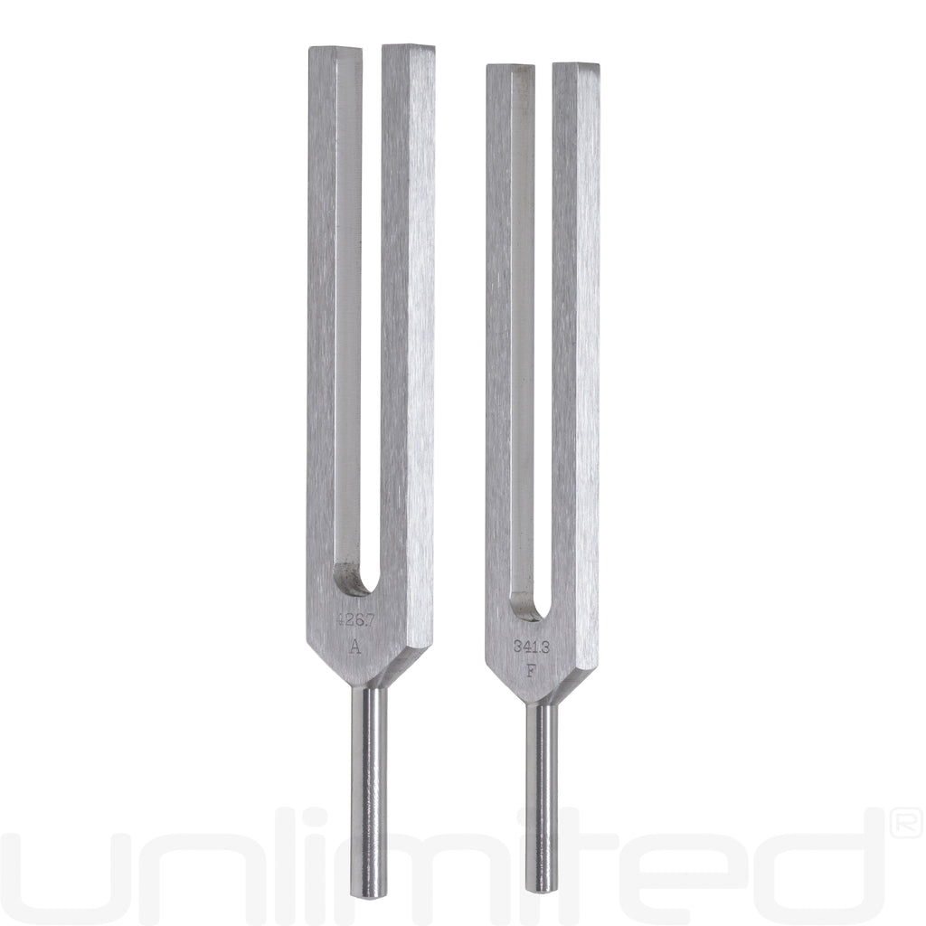 Biosonics Leonardo Upgrade for Body Tuners