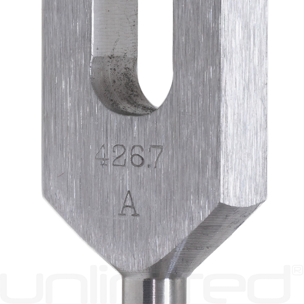 Biosonics Leonardo Upgrade for Body Tuners