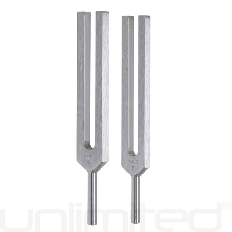 Biosonics Leonardo Upgrade for Body Tuners