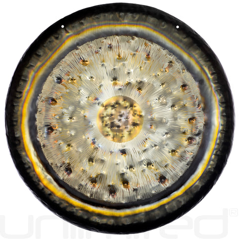 Gongland 21" Eclipse Gongs