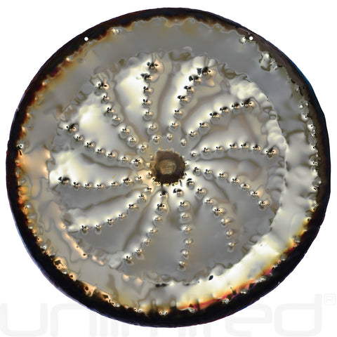 Gongland 21" Solaris Gongs