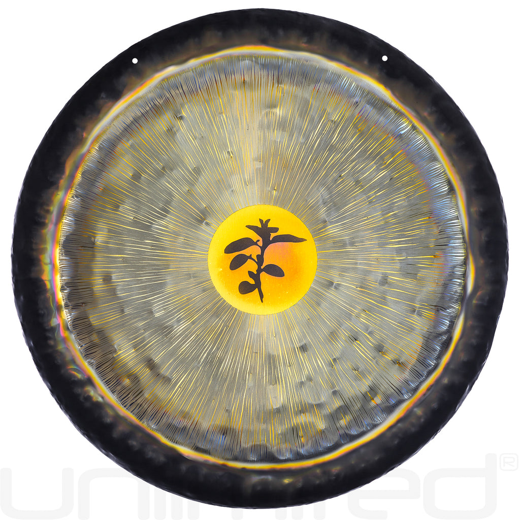 Gongland 21" Wisdom Gongs