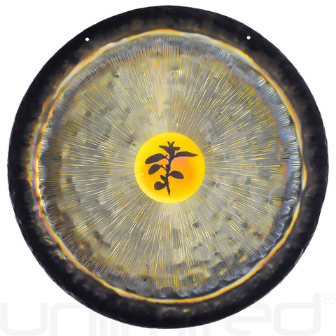 Gongland 21" Wisdom Gongs