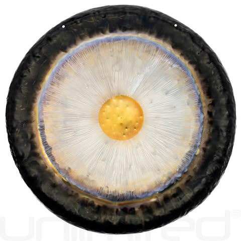Gongland 24" Eclipse Gongs