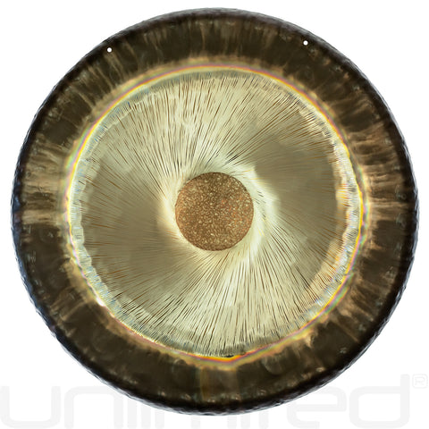 Gongland 24" Gravity Gongs