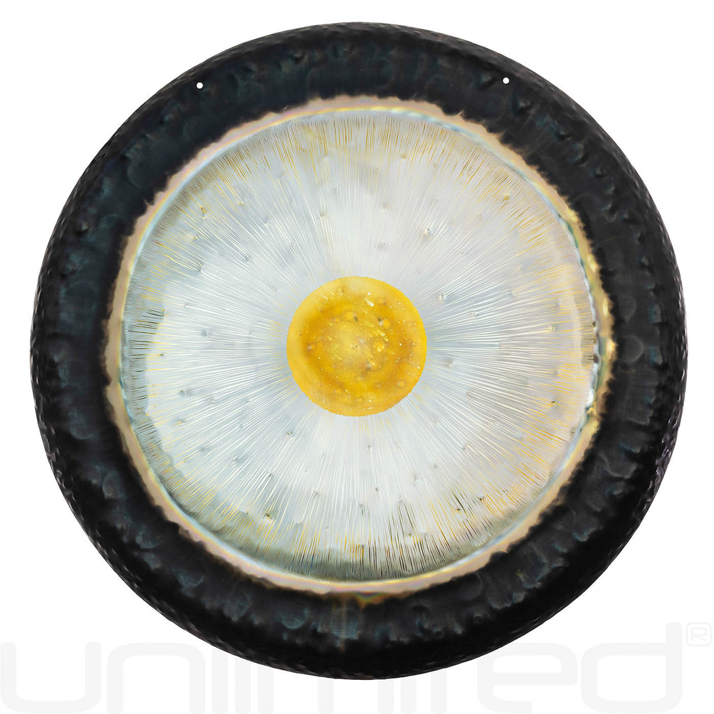 Gongland 30" Eclipse Gongs