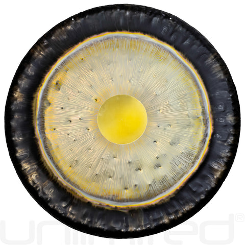 Gongland 42" Infinity Gong - FREE SHIPPING