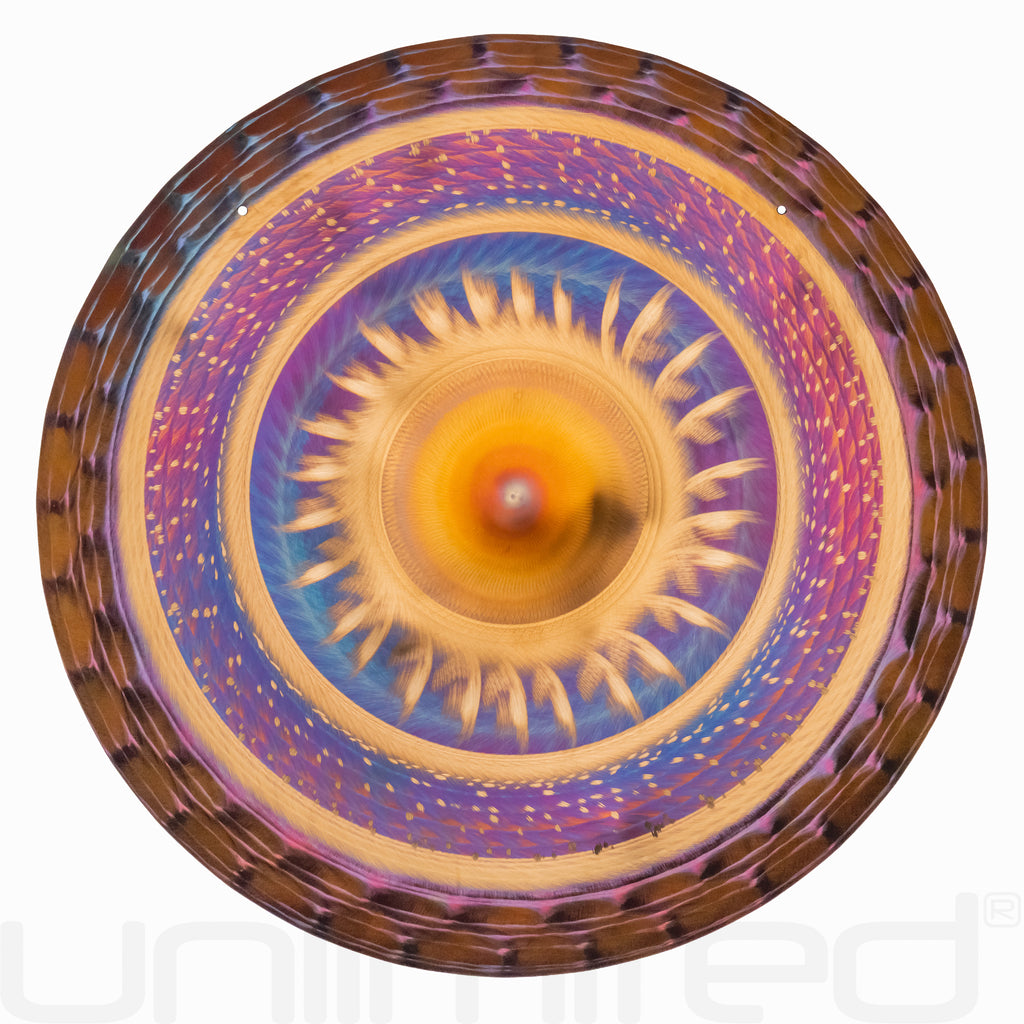 Grotta Sonora 19" Hand Gongs