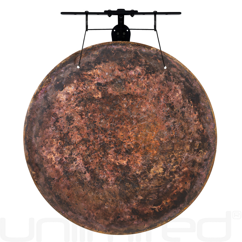 26" Chinese Gongs on the Internal Wave Gong Hanger