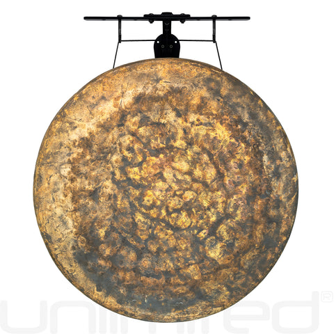 26" Chinese Gongs on the Internal Wave Gong Hanger