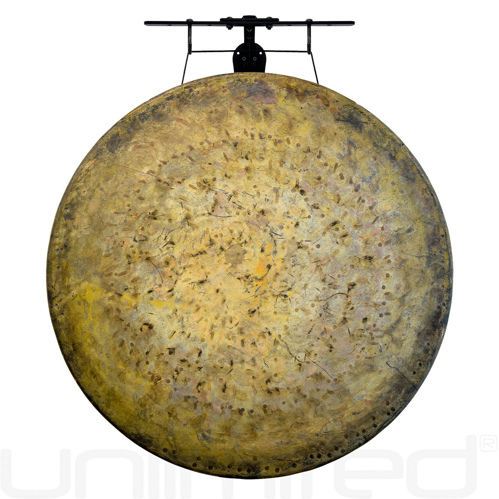 30" to 32" Chinese Gongs on the Internal Wave Gong Hanger