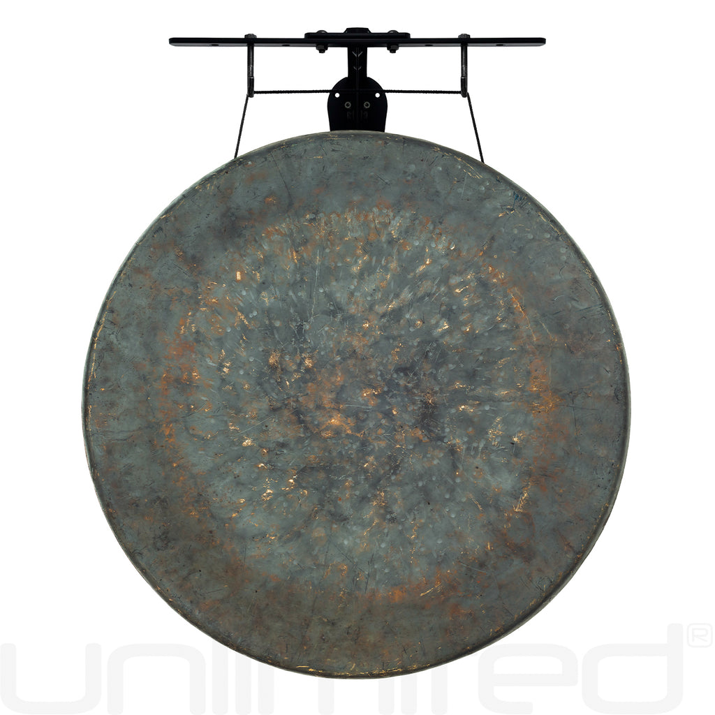 24" Chinese Gongs on the Internal Wave Gong Hanger