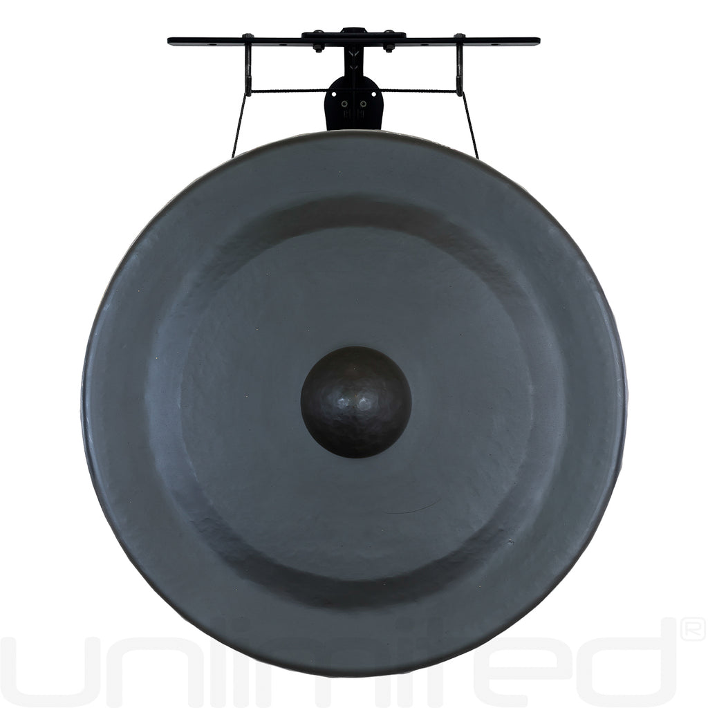 Vietnamese Trung Sister Gongs on Stands