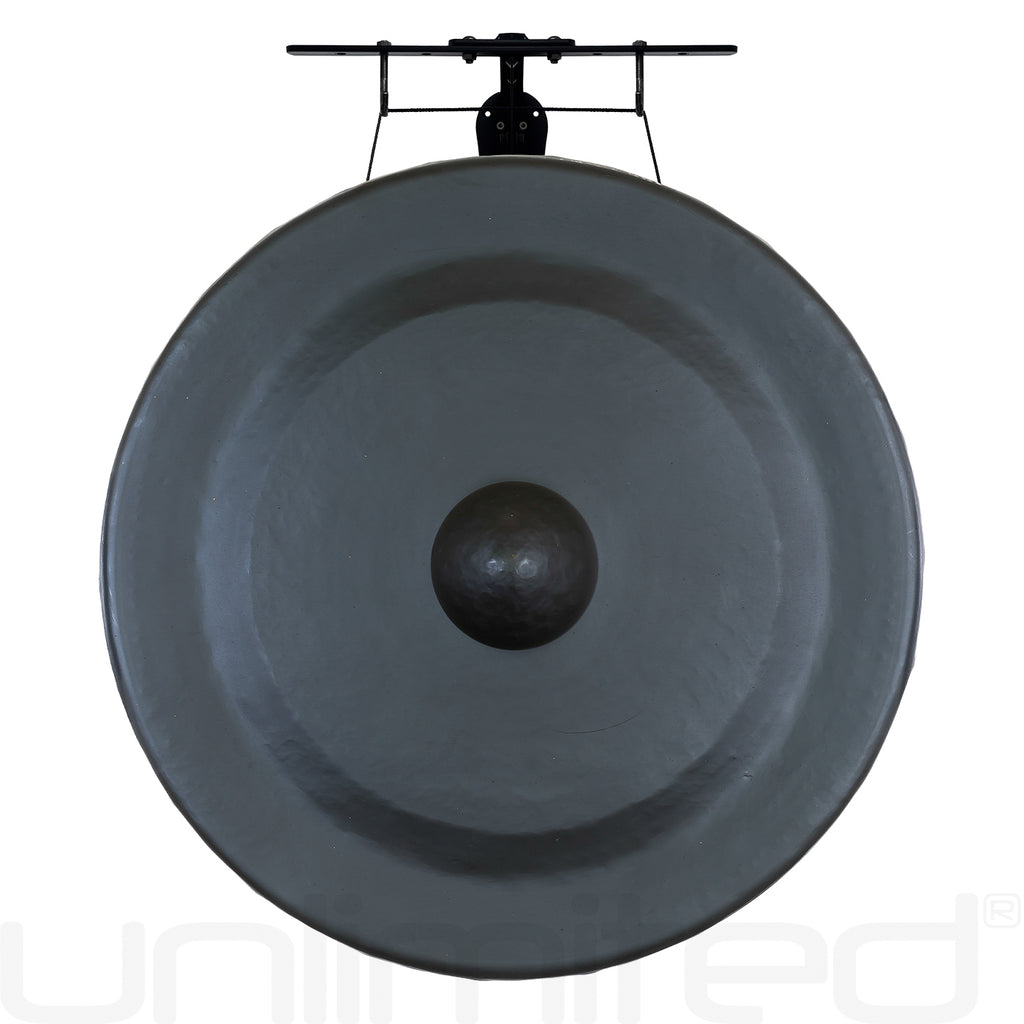 Vietnamese Trung Sister Gongs on Stands