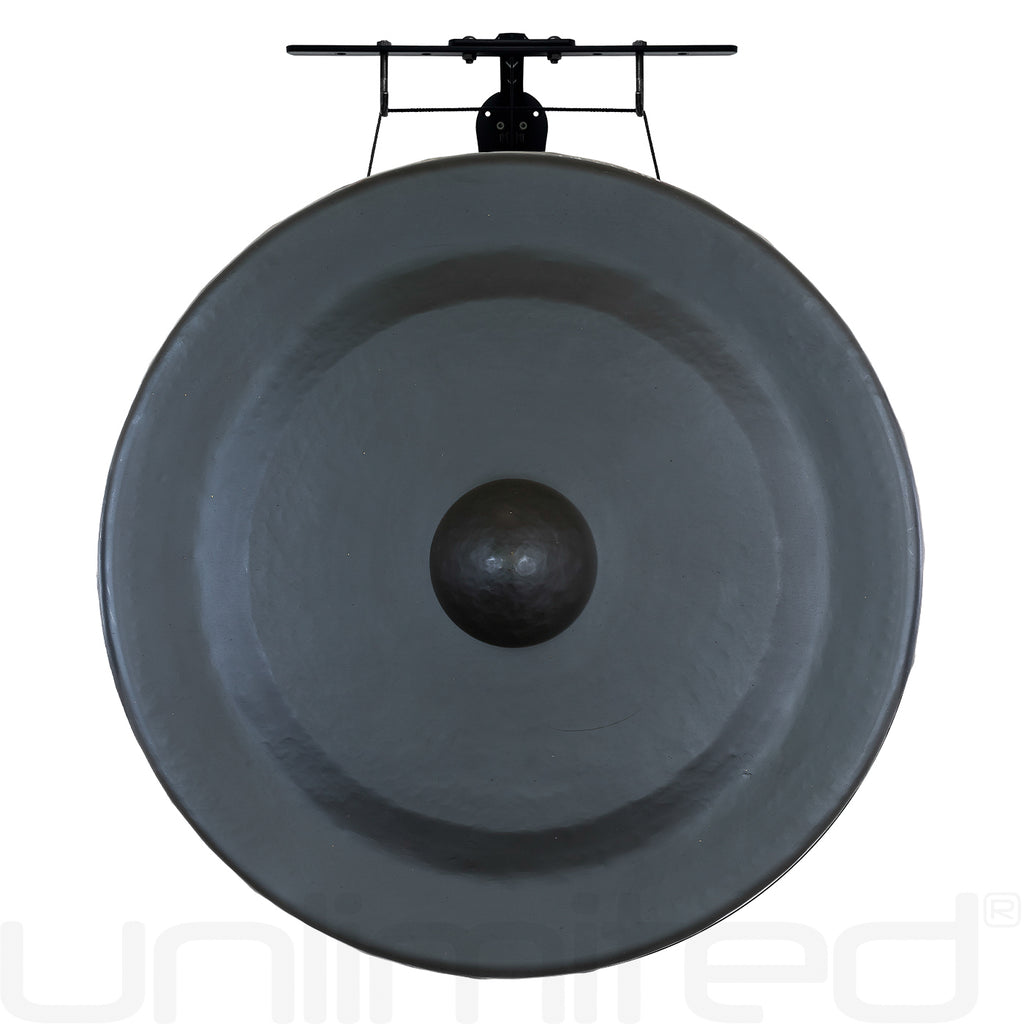 Vietnamese Trung Sister Gongs on Stands