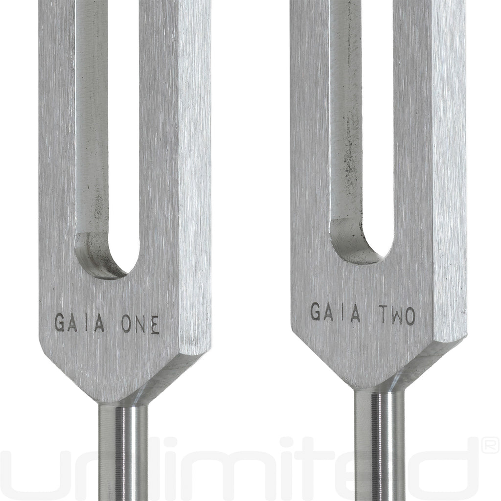 Jonathan Goldman's Gaia Frequency Brain Tuner Kit