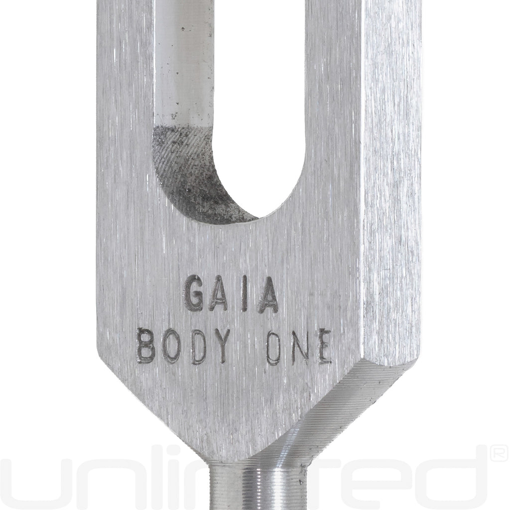 Jonathan Goldman's Gaia Frequency Body Tuner Kit