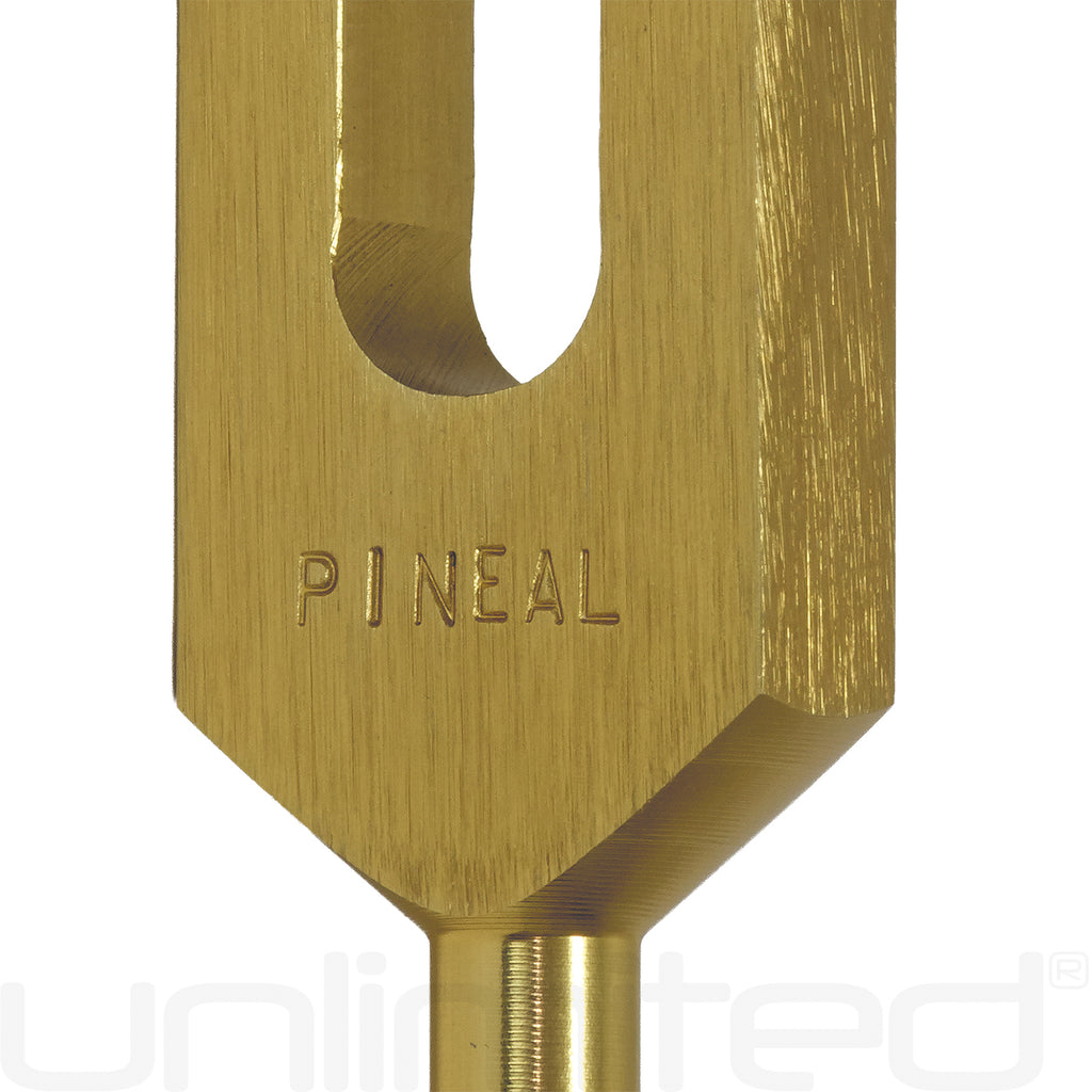 Jonathan Goldman's Pineal Activator Kit