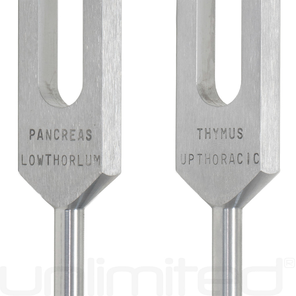 Luminanti Endocrine Tuning Fork Set (Unweighted)