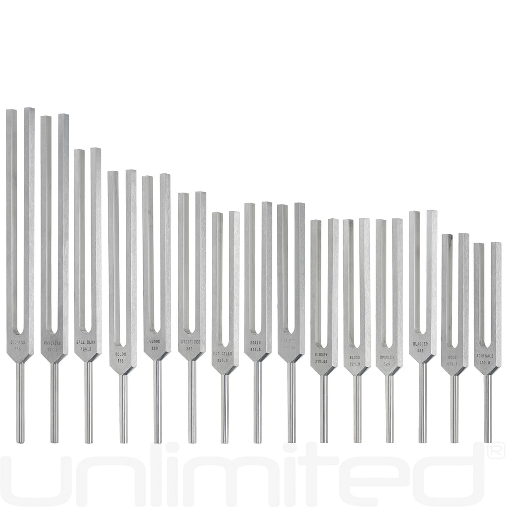 Luminanti Human Organs Tuning Fork Set (Unweighted)