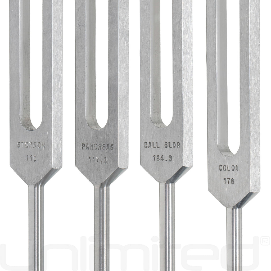 Luminanti Human Organs Tuning Fork Set (Unweighted)