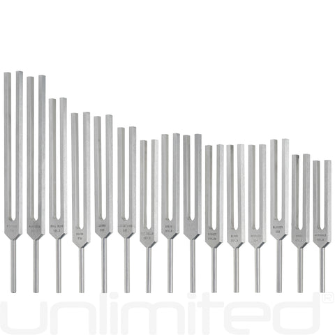 Luminanti Human Organs Tuning Fork Set (Unweighted)