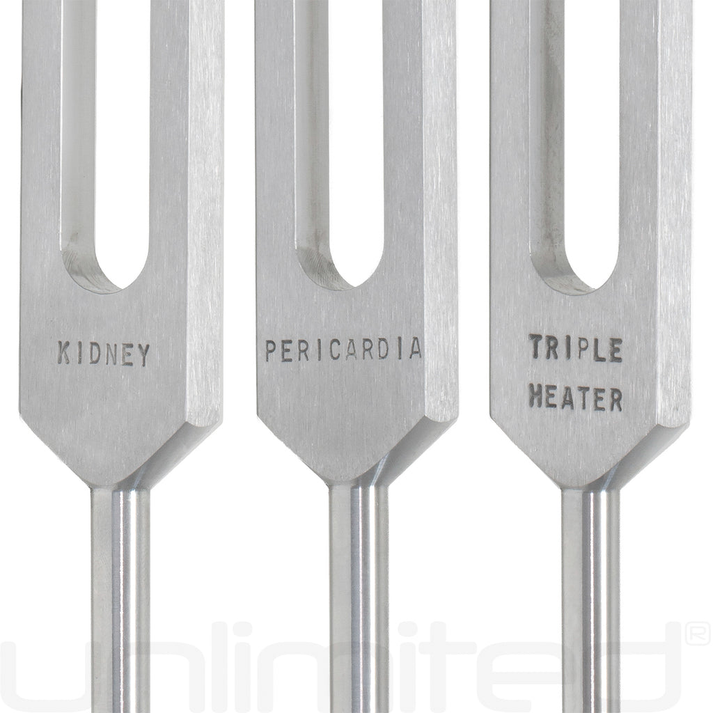 Luminanti Meridians Tuning Fork Set (Unweighted)