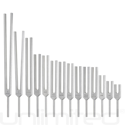 Luminanti Meridians Tuning Fork Set (Unweighted)