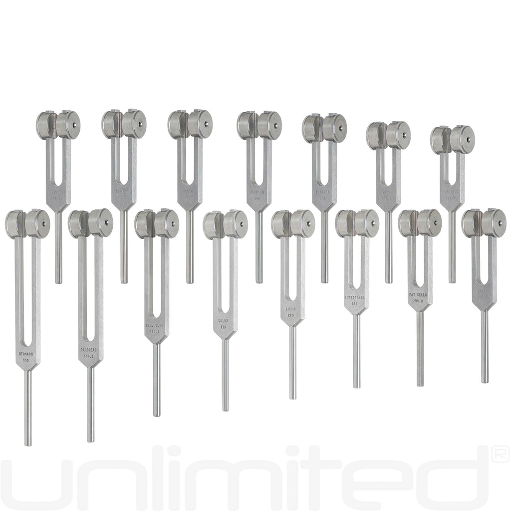 Luminanti Human Organs Tuning Fork Set (Weighted)