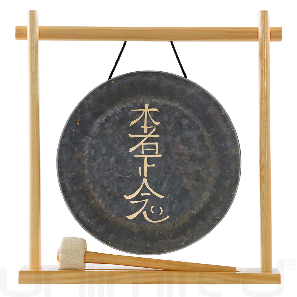 10" Hon Sha Ze Sho Nen Reiki Gong on Stands