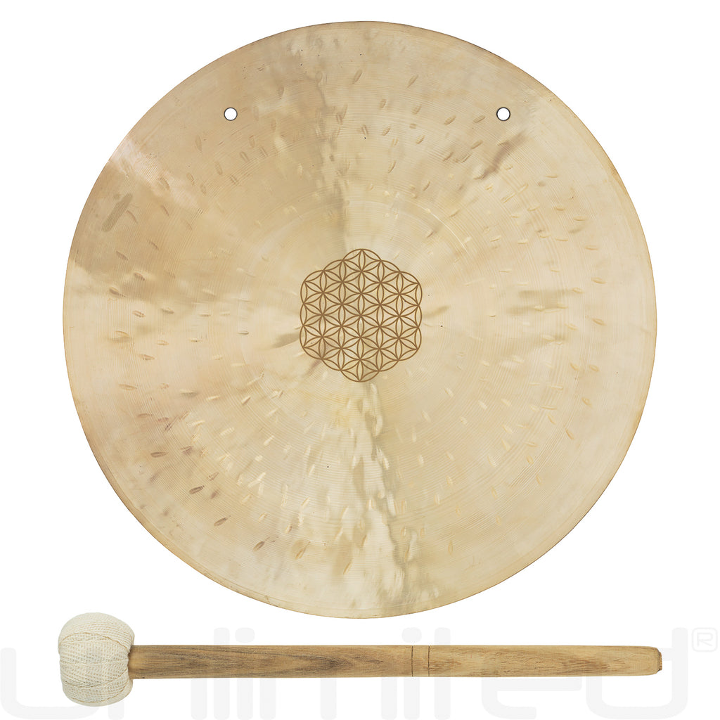 Meinl Sonic Energy Flower of Life Wind Gongs