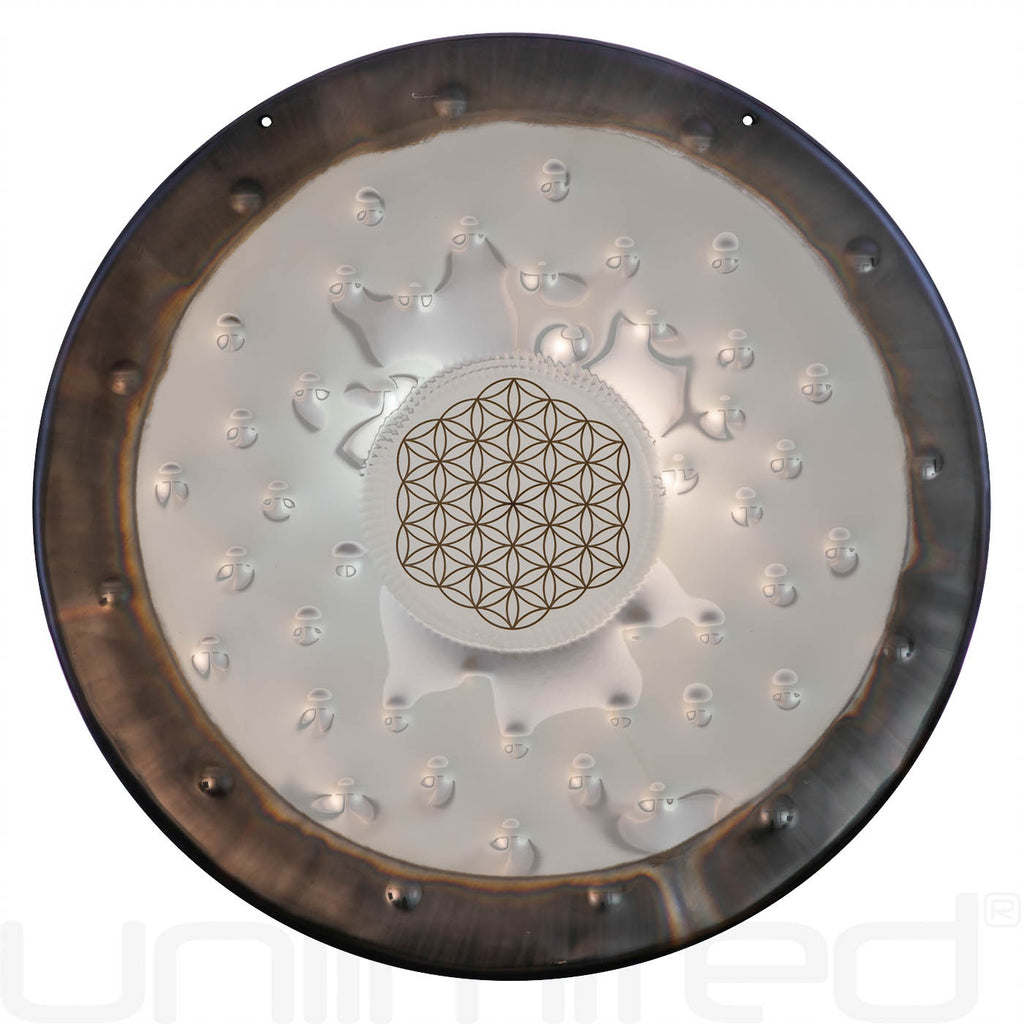 Meinl 22" Soundscape Gongs