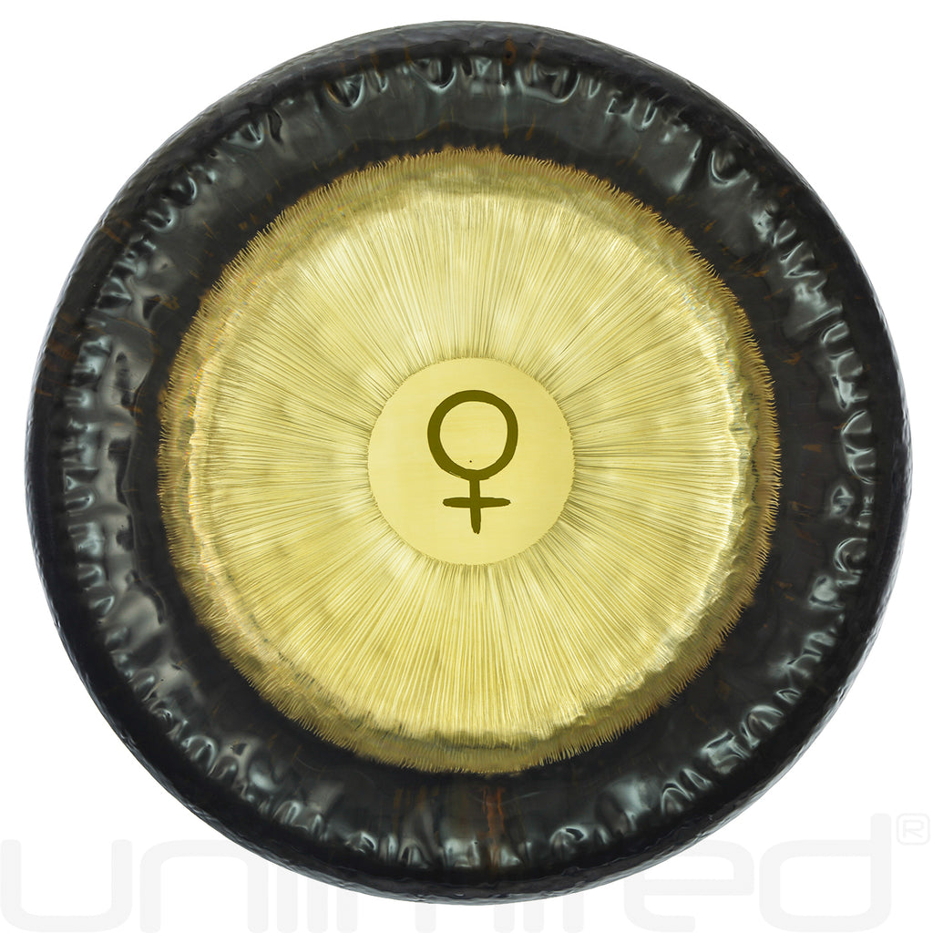 Meinl Planetary Tuned Gongs