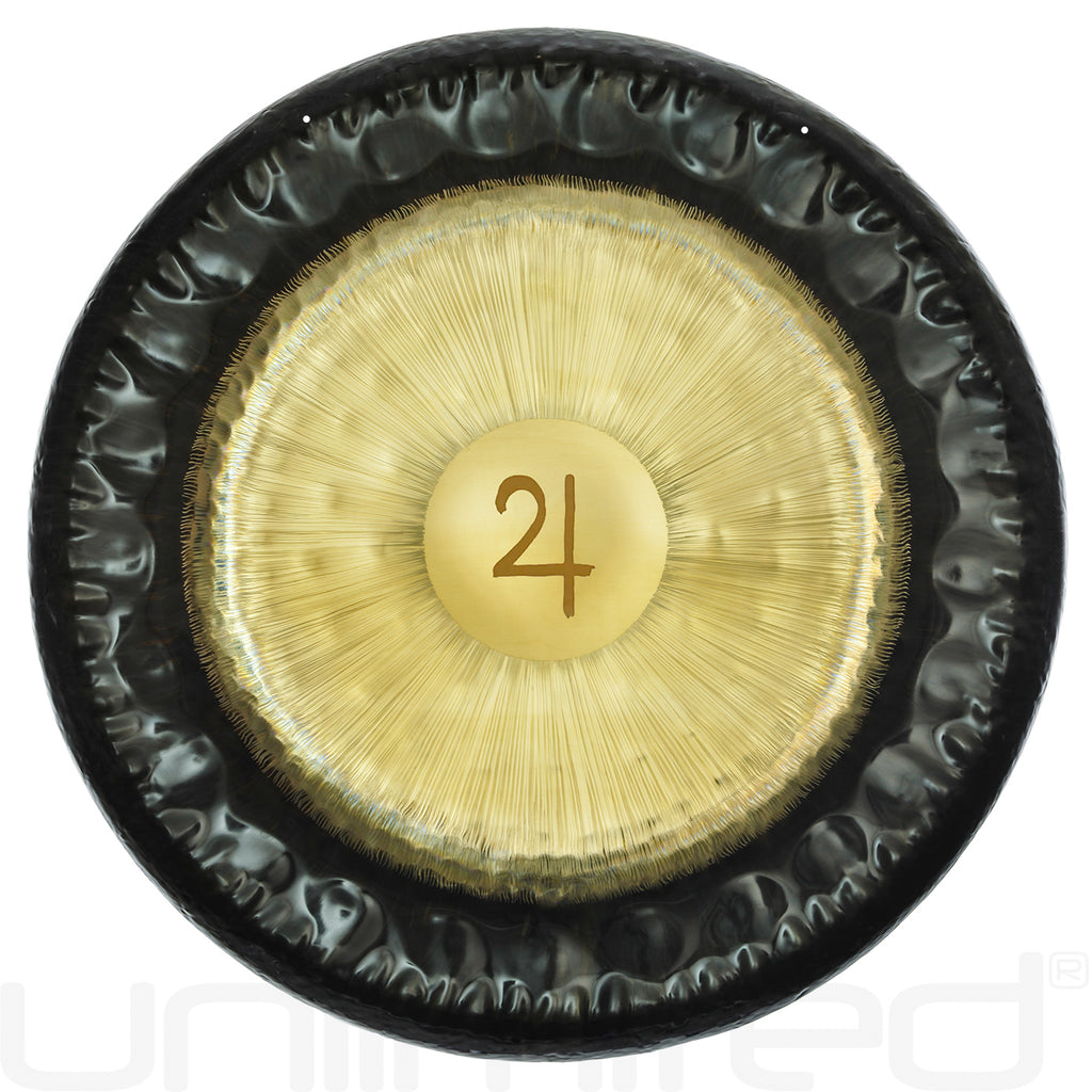 Meinl Planetary Tuned Gongs