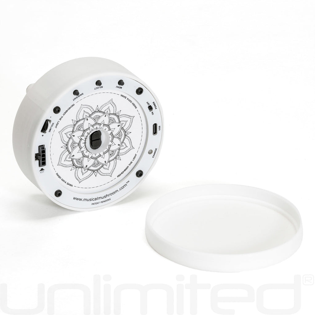 Musical Mushroom Starter Kit