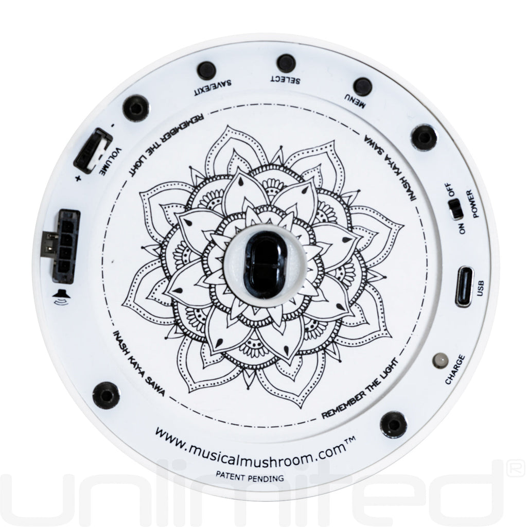 Musical Mushroom Starter Kit