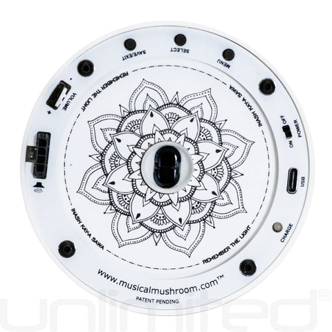 Musical Mushroom Starter Kit