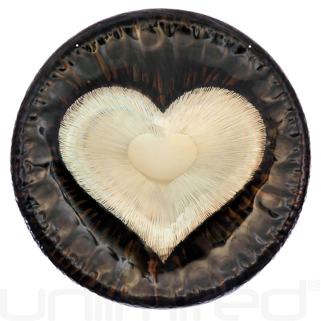 Oetken 16" Hand Gongs