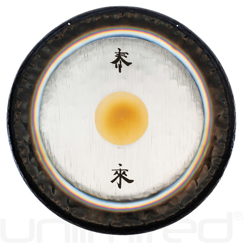 Paiste 24" Symphonic Tai Loi Gong (B Stock)