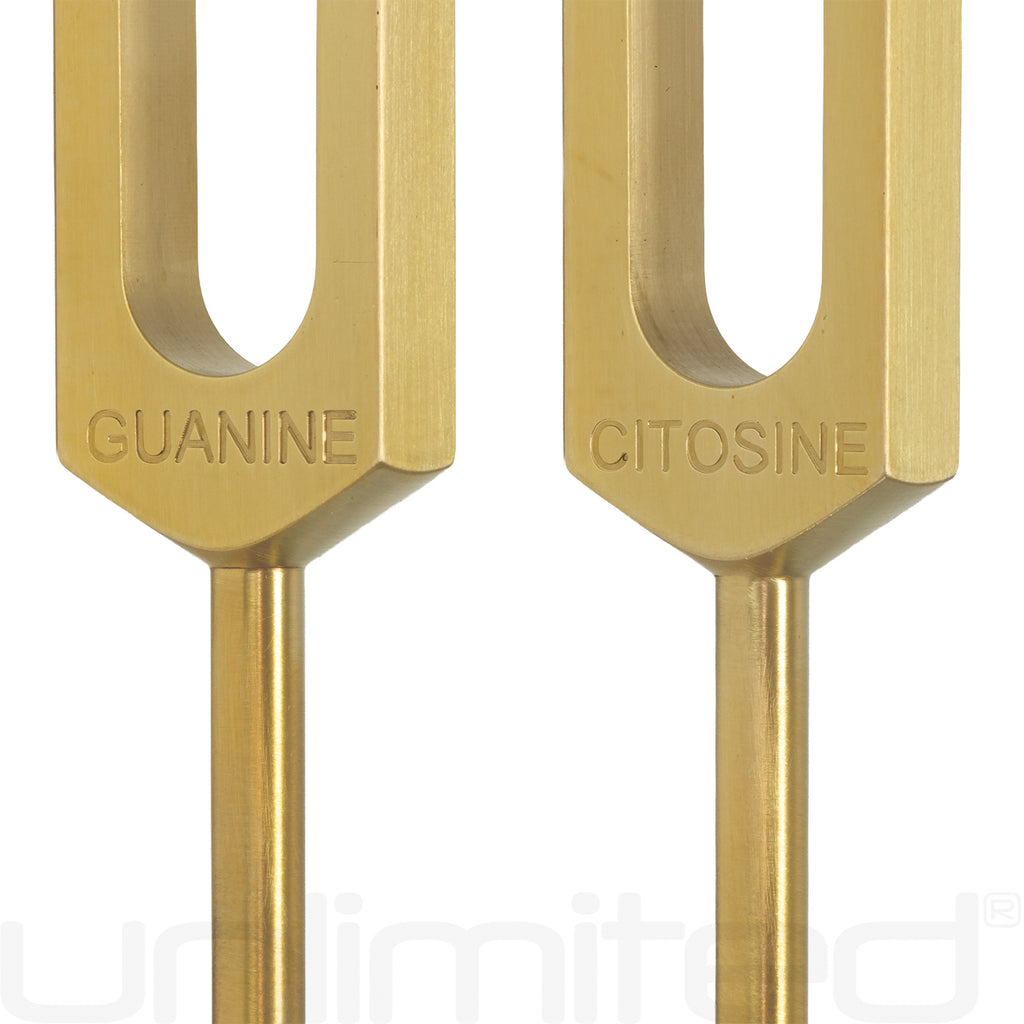 PraPelnia DNA Set of 4 Brass Tuning Forks