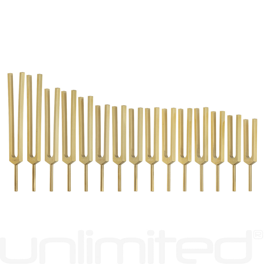 PraPelnia Human Organs Set of 15 Brass Tuning Forks