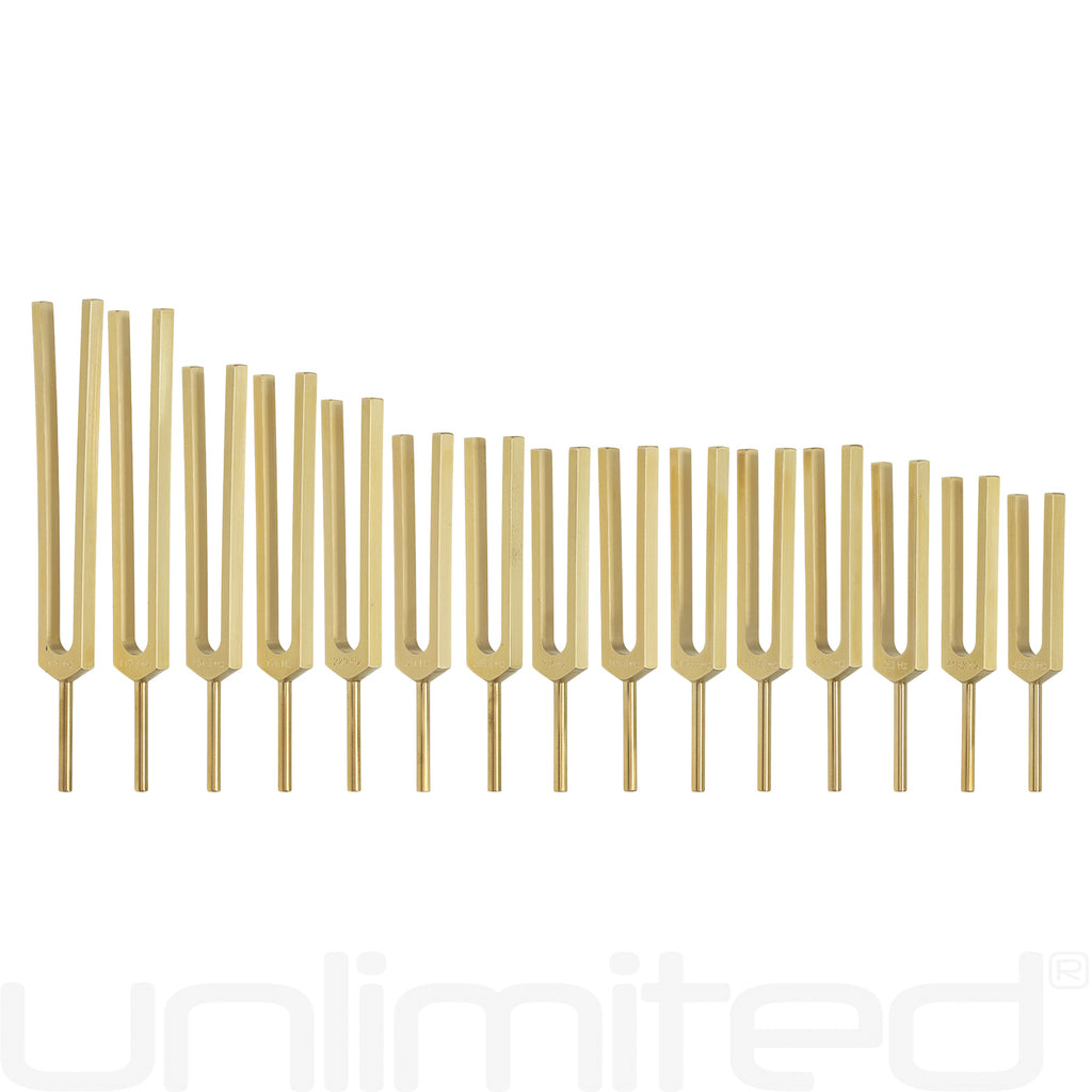 PraPelnia Human Organs Set of 15 Brass Tuning Forks