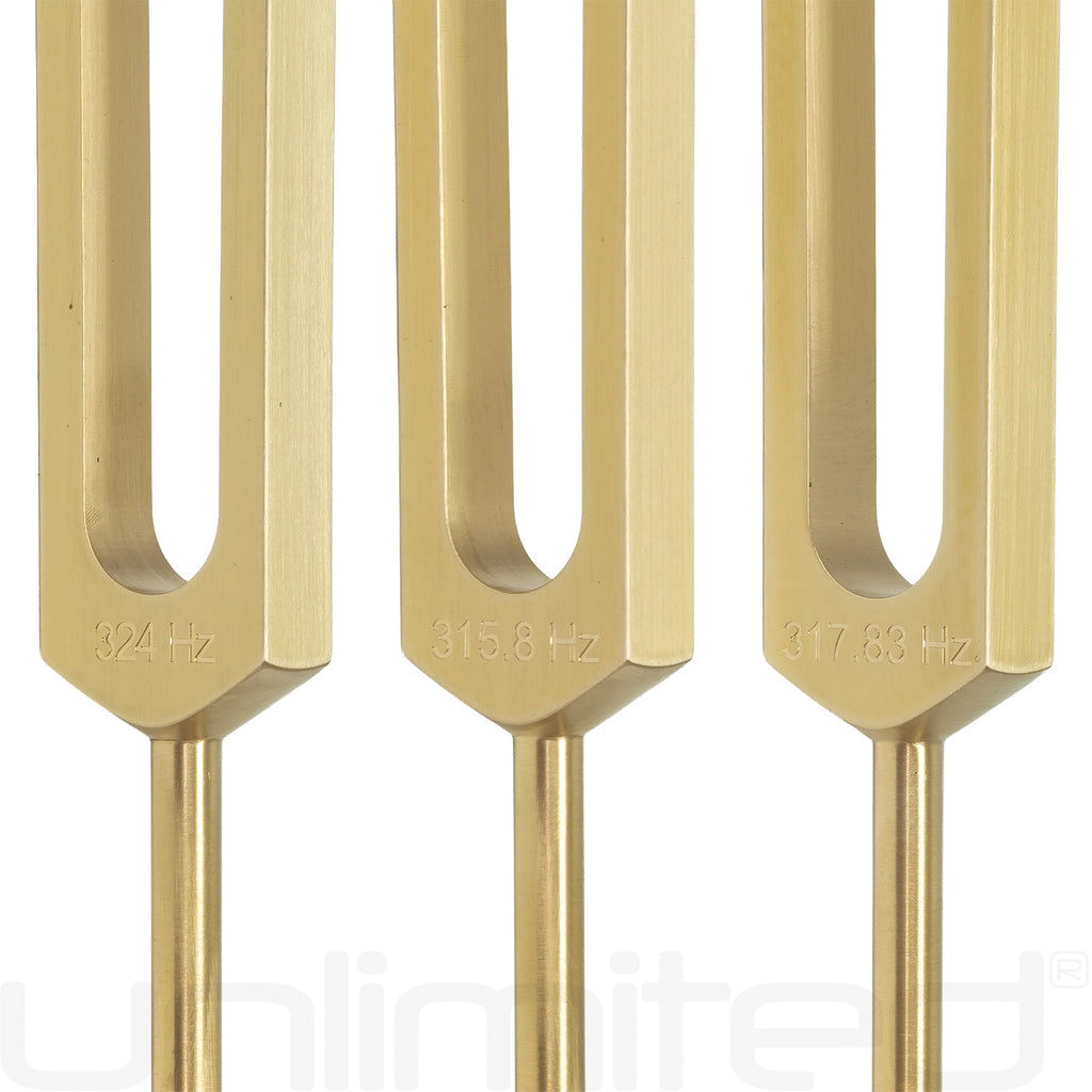 PraPelnia Human Organs Set of 15 Brass Tuning Forks