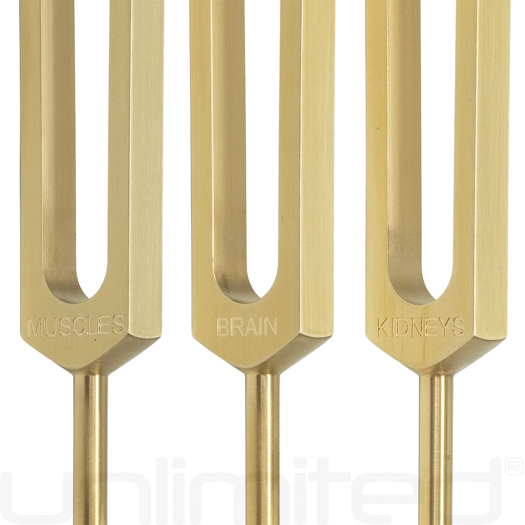 PraPelnia Human Organs Set of 15 Brass Tuning Forks