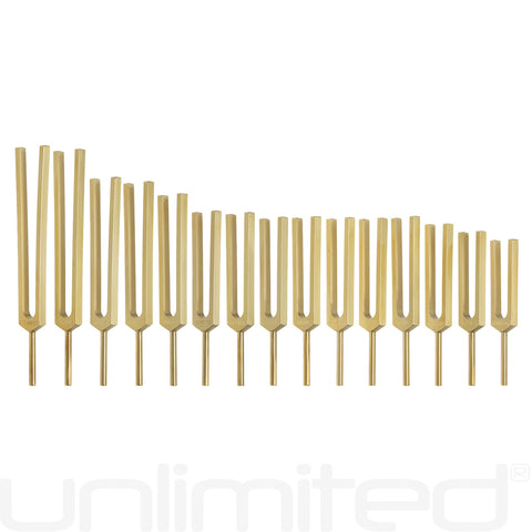 PraPelnia Human Organs Set of 15 Brass Tuning Forks