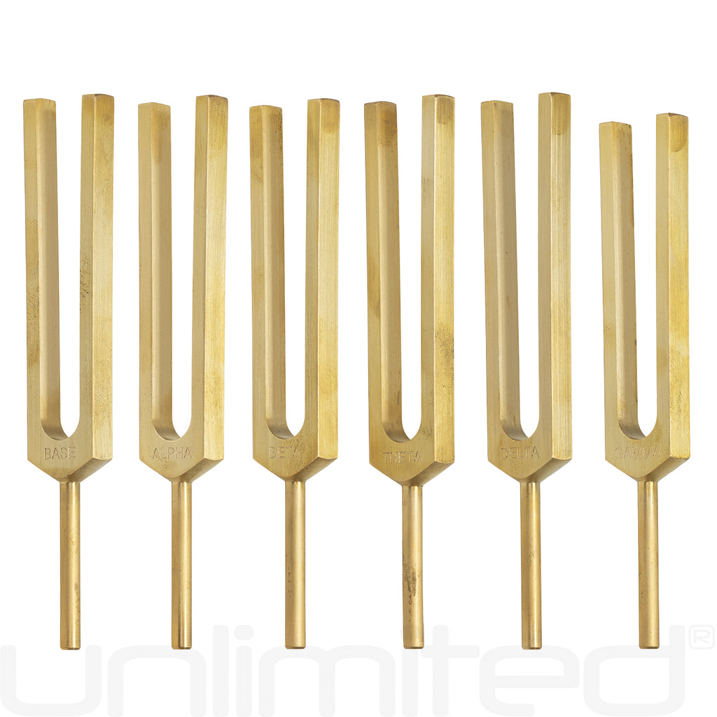 PraPelnia Bioresonance Set of 6 Brass Tuning Forks